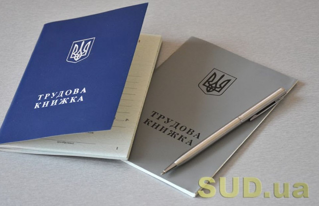 Рада запланувала на першому засіданні нової сесії скасувати паперові трудові книжки та перейти на електронні