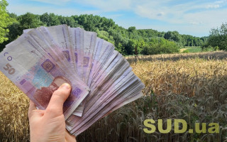 Аграрний комітет розглядає законопроект про продаж земельних ділянок через електронні аукціони