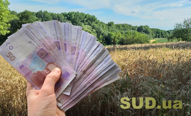 Аграрний комітет розглядає законопроект про продаж земельних ділянок через електронні аукціони