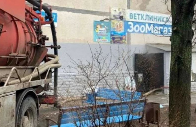 Вся улица в кипятке: в зоомагазине Харькова из-за прорыва трубы погибли животные, видео