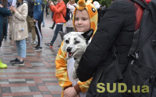 Рада прийняла закон про ветеринарну медицину