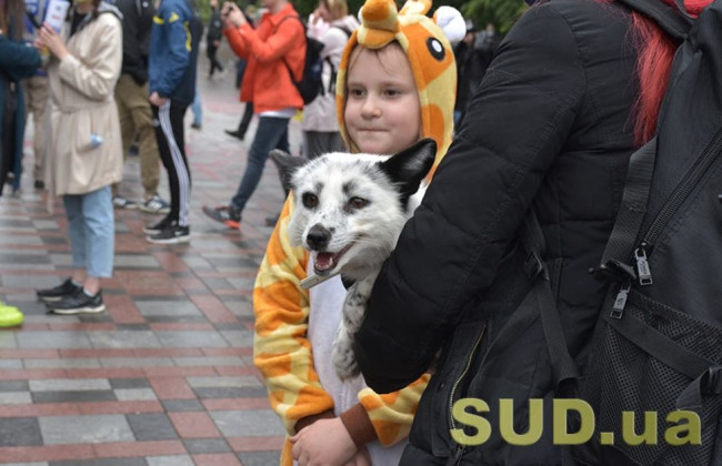 Рада прийняла закон про ветеринарну медицину