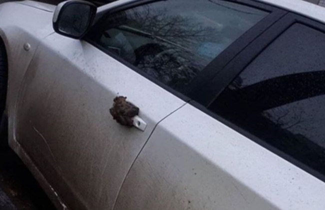 Применили фекалии: в Киеве наказали «героя парковки», фото