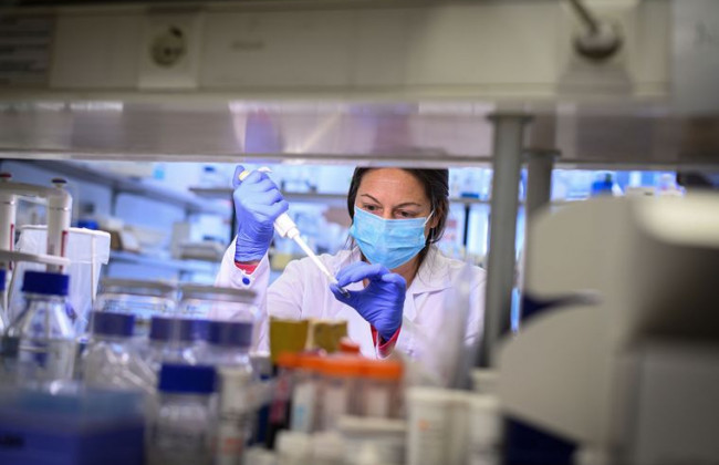 Причины появления коронавируса: эксперты ВОЗ выяснили еще одну интересную деталь