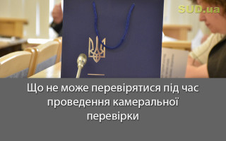 Що не може перевірятися під час проведення камеральної перевірки