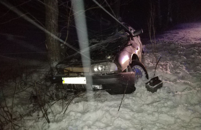 На Черкащині легковий автомобіль врізався у дерево, фото