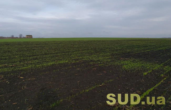 Встановлення меж земельної ділянки в натурі на місцевості: роз’яснення Мін’юсту