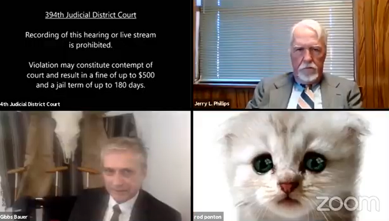 «Я не кот»: в США адвокат случайно подключился на заседание суда с кошачьим фильтром