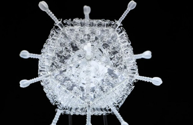 Защитит от всех штаммов COVID: в Великобритании разрабатывают универсальную вакцину