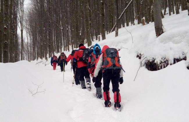В Карпатах продолжаются поиски заблудившегося туриста