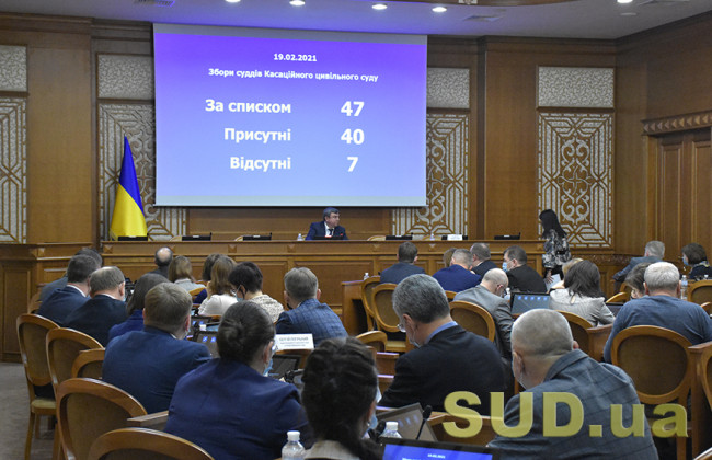 Кассационный гражданский суд Верховного Суда подвел итоги работы за 2020 год: фоторепортаж