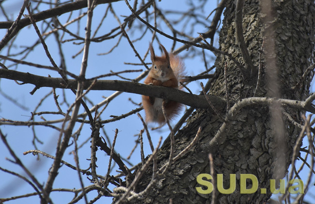 Быстрое потепление: синоптик предупредила украинцев о гололедице, сосульках и оползнях