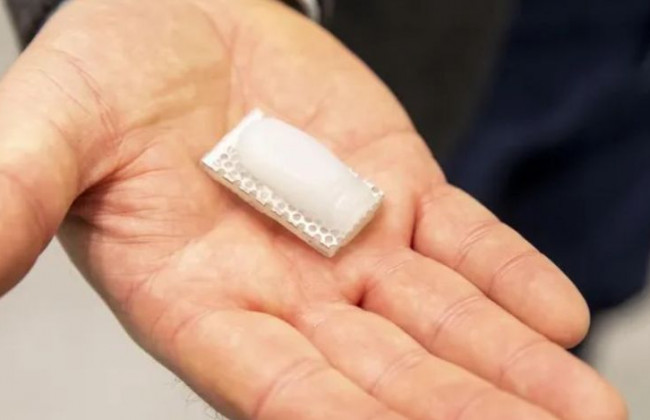 Создан необычный предмет для изучения слабостей коронавируса