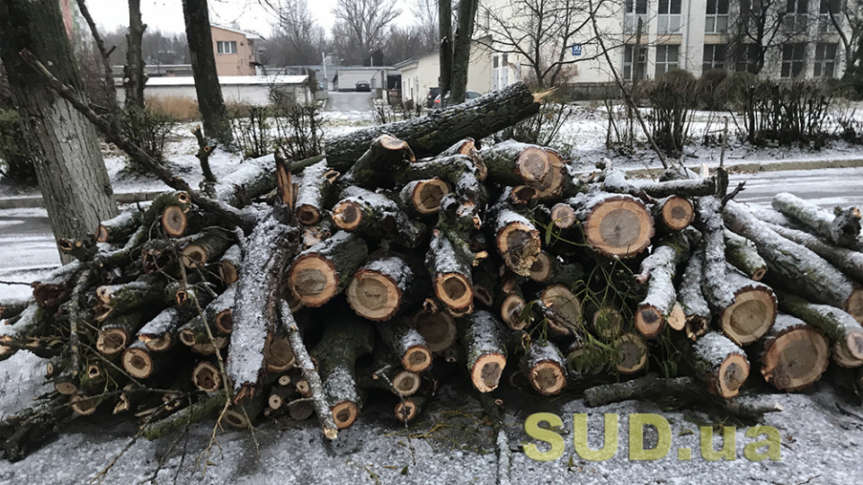 Ходил с бензопилой по городу и пилил деревья: под Киевом задержали злоумышленника