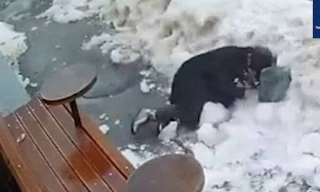 У центрі Києва жінку травмувала крижана брила, яка впала з даху: відео