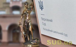 Позивачка просила визнати недійсною передачу будинку стягувачу, адже в неї було інше майно: висновок ВС