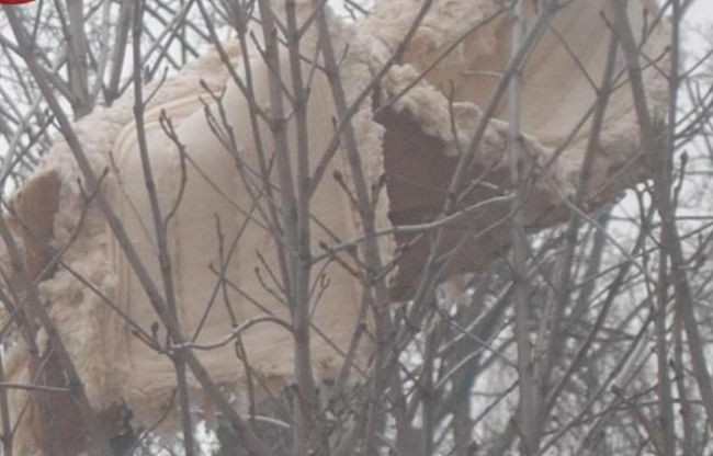 Выбросили из окна: в Киеве на дереве застрял диван, фото