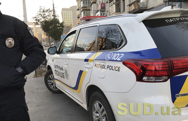 В столице поймали дерзкую пару грабителей