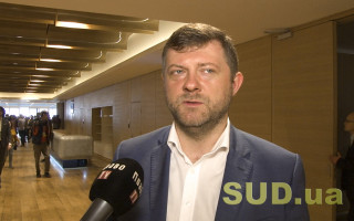 У «Слузі народу» прокоментували позбавлення партії держфінансування