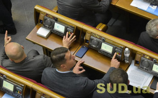 Рада підтримала митні пільги щодо «інвестнянь»