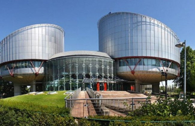 Опубліковано огляд практики Європейського суду з прав людини за 2020 рік