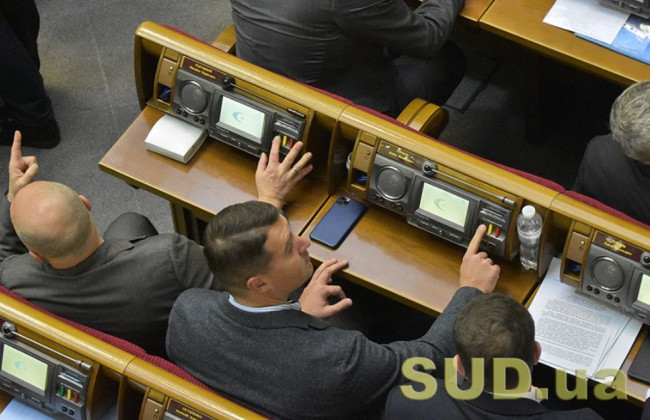 Рада підтримала митні пільги щодо «інвестнянь»