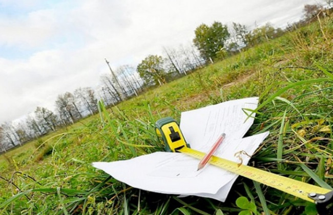 Правительство назначило вр.и.о главы Госгеокадастра