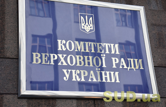 Комітет Ради підтримав законопроект Зеленського про покарання за брехню в декларації