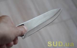 В Киеве семейная ссора завершилась жестоким убийством, видео