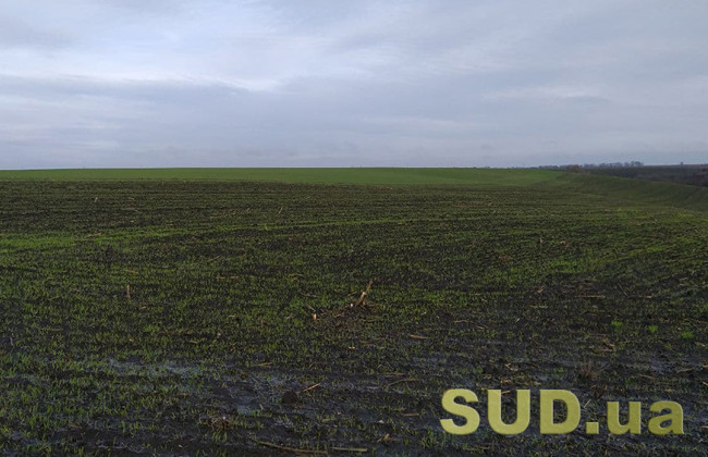 Як укладати правочини із земельними ділянками: роз’яснення Мін’юсту