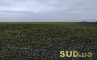 Як укладати правочини із земельними ділянками: роз’яснення Мін’юсту