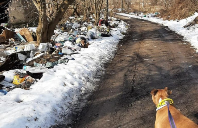 У Києві на Дарниці виявили купи сміття, фото