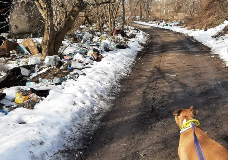 У Києві на Дарниці виявили купи сміття, фото