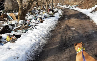 У Києві на Дарниці виявили купи сміття, фото