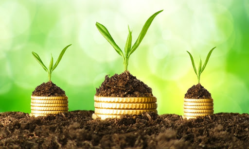 Як фізособам отримати пільгу з плати за землю: роз’яснення