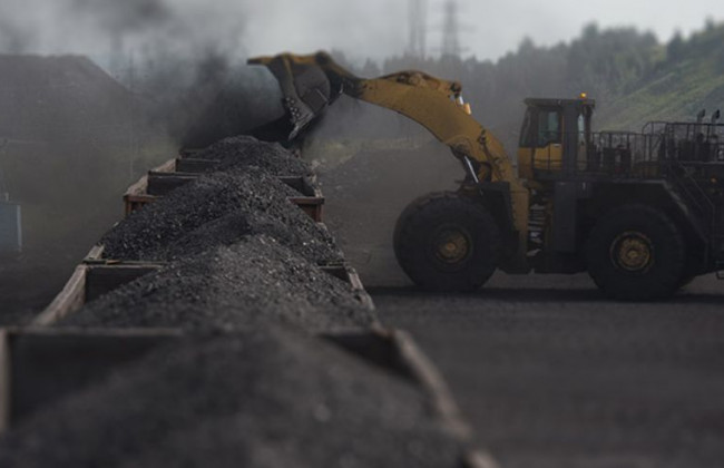 Школьники подали коллективный иск в суд против угольной компании