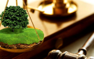 Чи є зміна виду використання земель без зміни цільового призначення підставою для визнання недійсним договору оренди