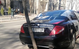 В Киеве Mercedes запарковали прямо «на дереве», фото
