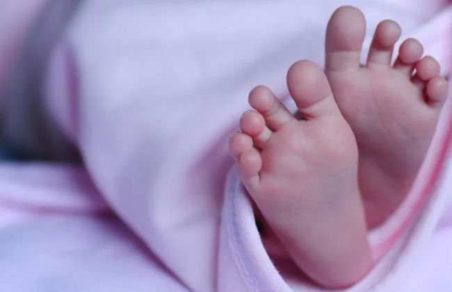 Викликала пологи та поховала в сараї: на Житомирщині розслідують вбивство двійнят