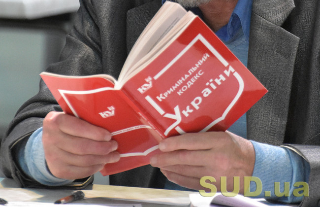 В Уголовном кодексе появится норма об обратной силе закона для некоторых категорий преступлений