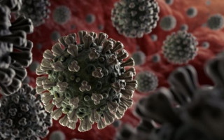 В Винницкой области трехлетний мальчик из-за последствий COVID-19 перестал ходить и разговаривать