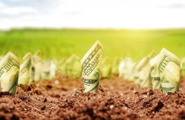 Як продаватимуть землю на аукціонах – Рада розгляне законопроект у другому читанні