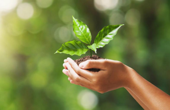 Суд стягнув зі столичного підприємства збитки, завдані довкіллю