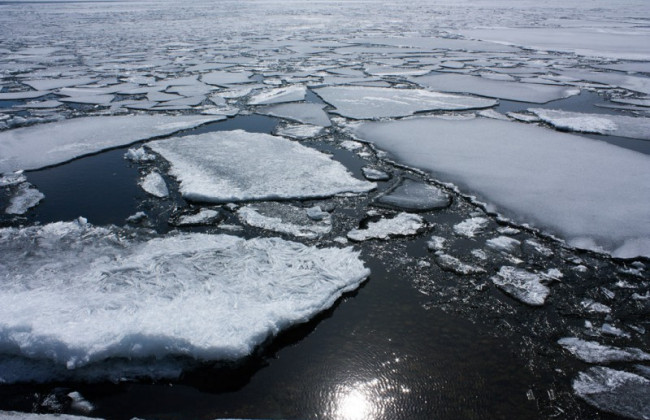 В Киевской области спасли шестерых рыбаков, которые застряли на льдине
