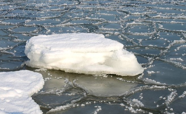 В Киеве парень с девушкой решили поплавать на льдине: видео