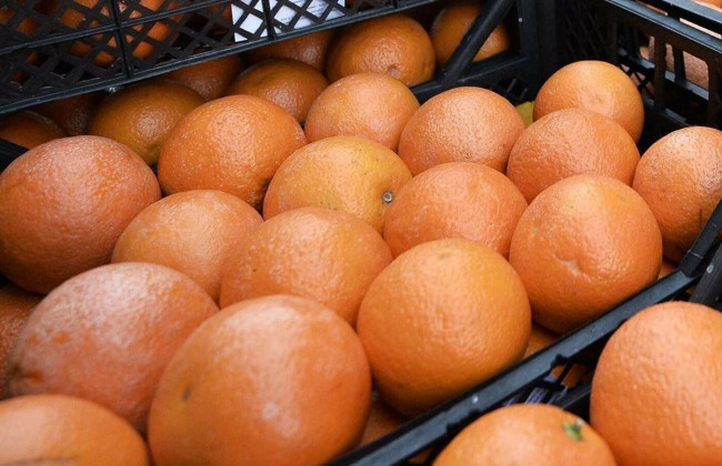 В Украину привезли опасные фрукты из Турции