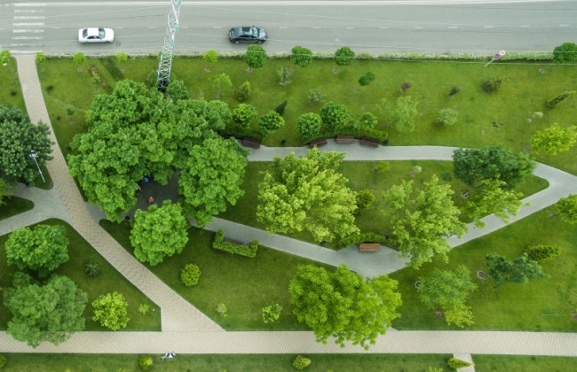 Где в Киеве появятся новые зеленые зоны