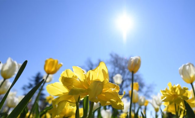 Когда в Киев придет долгожданное тепло: синоптики назвали дату
