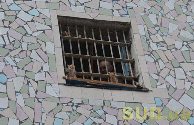 Депутати хочуть амністувати в’язнів до 30 річниці незалежності України