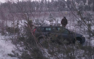 На Рівненщині автомобіль злетів у кювет та врізався у дерево: фото